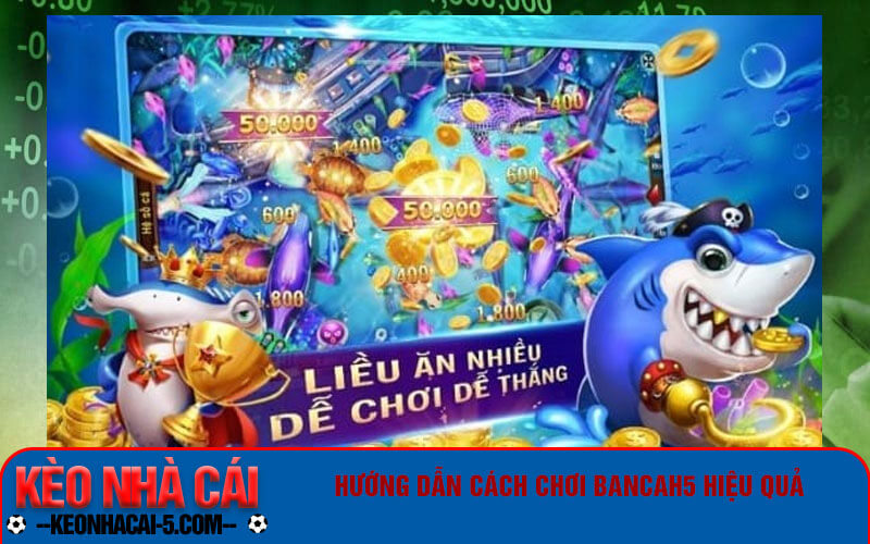 Bancah5 - Kinh nghiệm chơi game bắn cá đổi thưởng uy tín 8 Hướng dẫn cách chơi Bancah5 hiệu quả