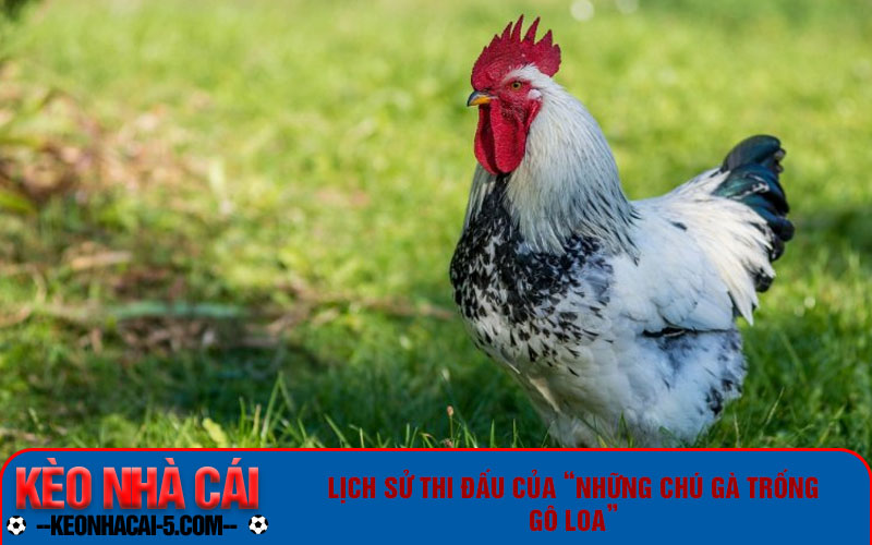 Những Chú Gà Trống Gô Loa - Đội Tuyển Bóng Đá Quốc Gia Pháp 6 Lịch sử thi đấu của “những chú gà trống gô loa”