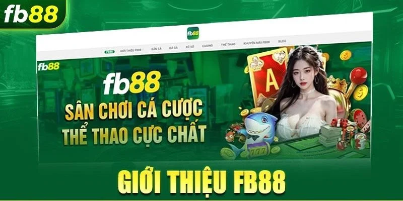 Xổ Số FB88 Có Cược Bao Lô, Xiên, Đề Siêu Hấp Dẫn 5 FB88 – Nền tảng cá cược toàn diện, phù hợp mọi nhu cầu giải trí